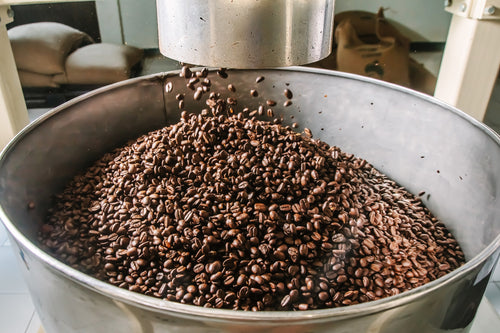Freshly roasted beans being left to cool