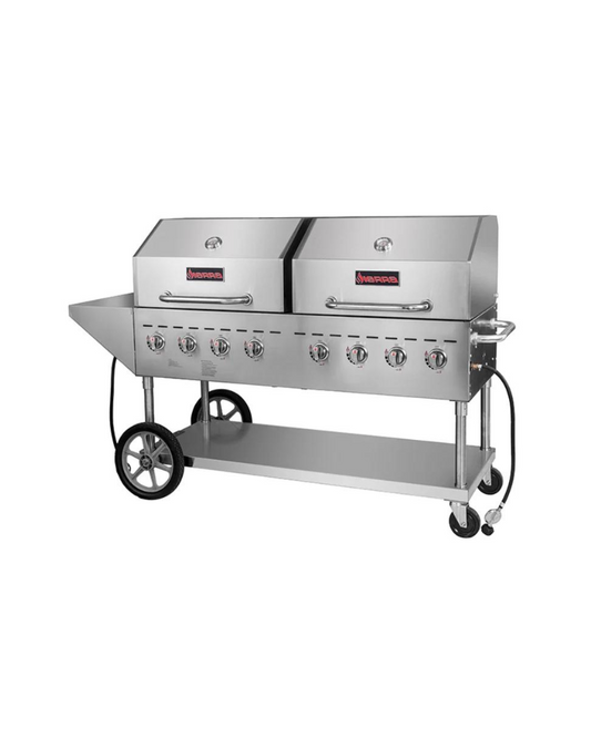 Sierra SRBQ-60 Outdoor Gas Grill - Double